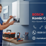 Repairing Heating System